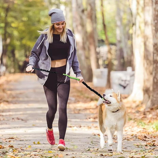 LibreTrail – Laisse mains libres pour chien | Ceinture réglable & amortisseur bungee