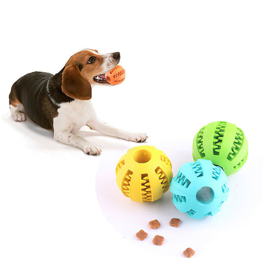 Balle Interactive pour Chiens · Jouer, Stimuler & Fatiguer