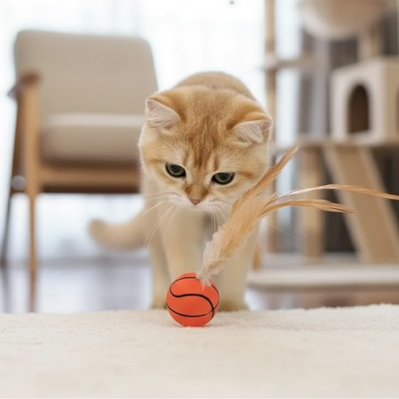 PlumeBond – Balle interactive à plumes pour chats | Sans piles | Silicone sûr