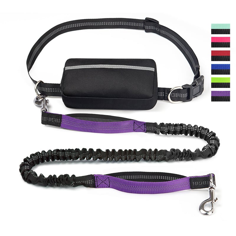 LibreTrail – Laisse mains libres pour chien | Ceinture réglable & amortisseur bungee