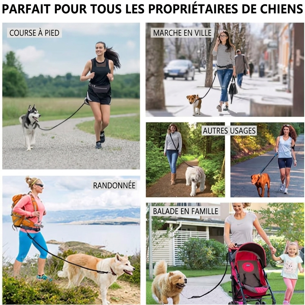 LibreTrail – Laisse mains libres pour chien | Ceinture réglable & amortisseur bungee