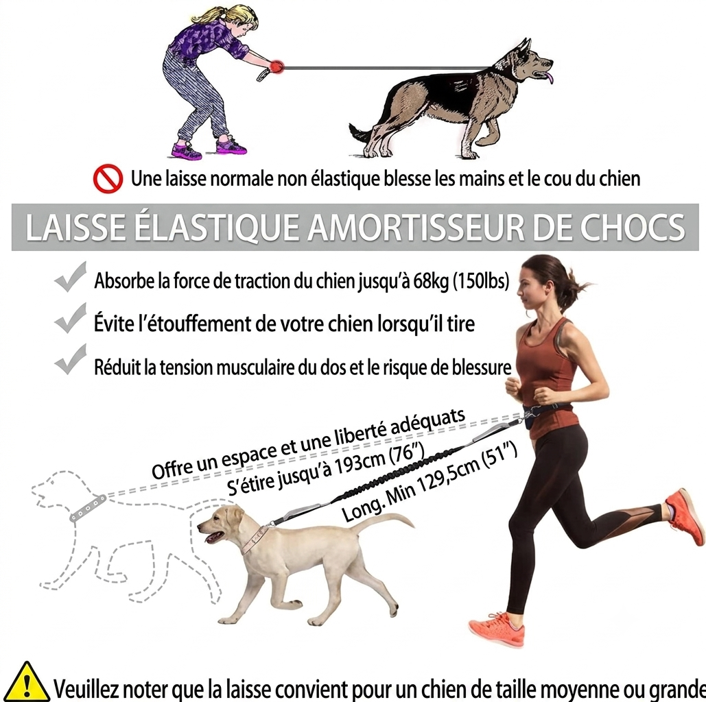 LibreTrail – Laisse mains libres pour chien | Ceinture réglable & amortisseur bungee