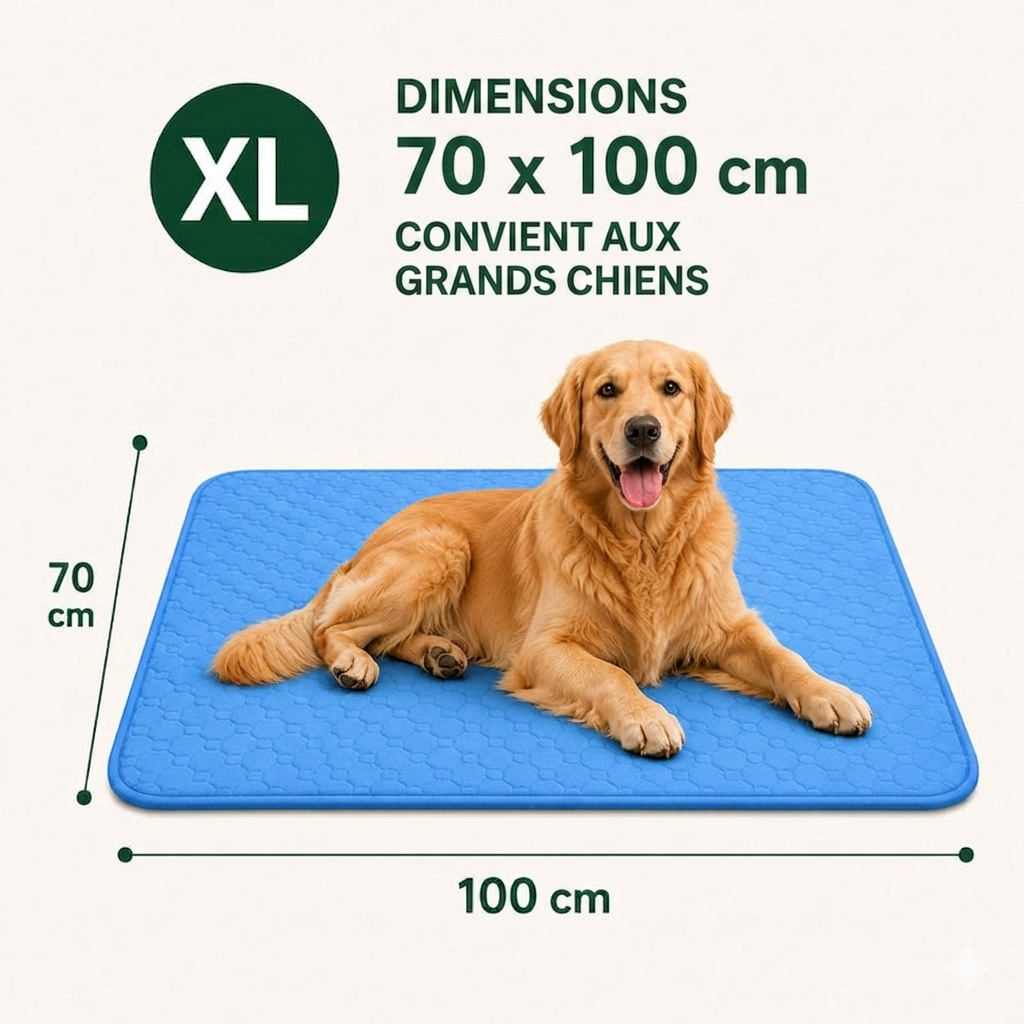 FraîchePatte — Le Tapis Rafraîchissant pour Chiens