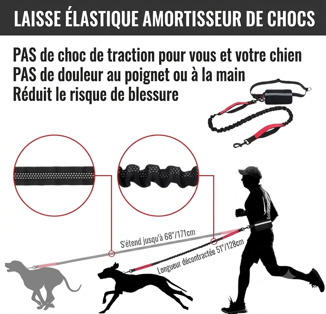 LibreTrail – Laisse mains libres pour chien | Ceinture réglable & amortisseur bungee
