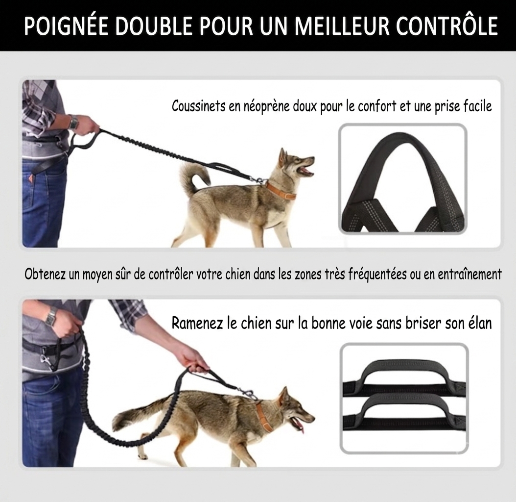 LibreTrail – Laisse mains libres pour chien | Ceinture réglable & amortisseur bungee