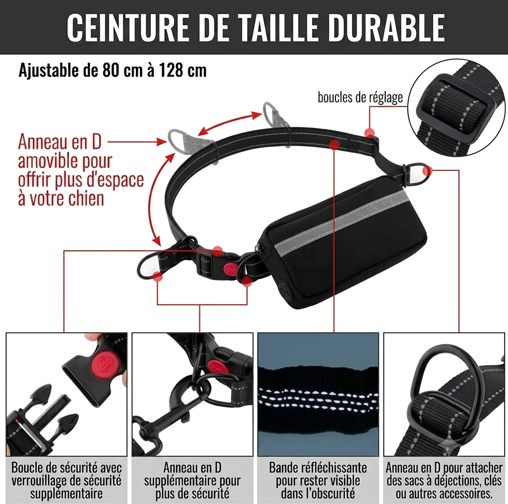 LibreTrail – Laisse mains libres pour chien | Ceinture réglable & amortisseur bungee