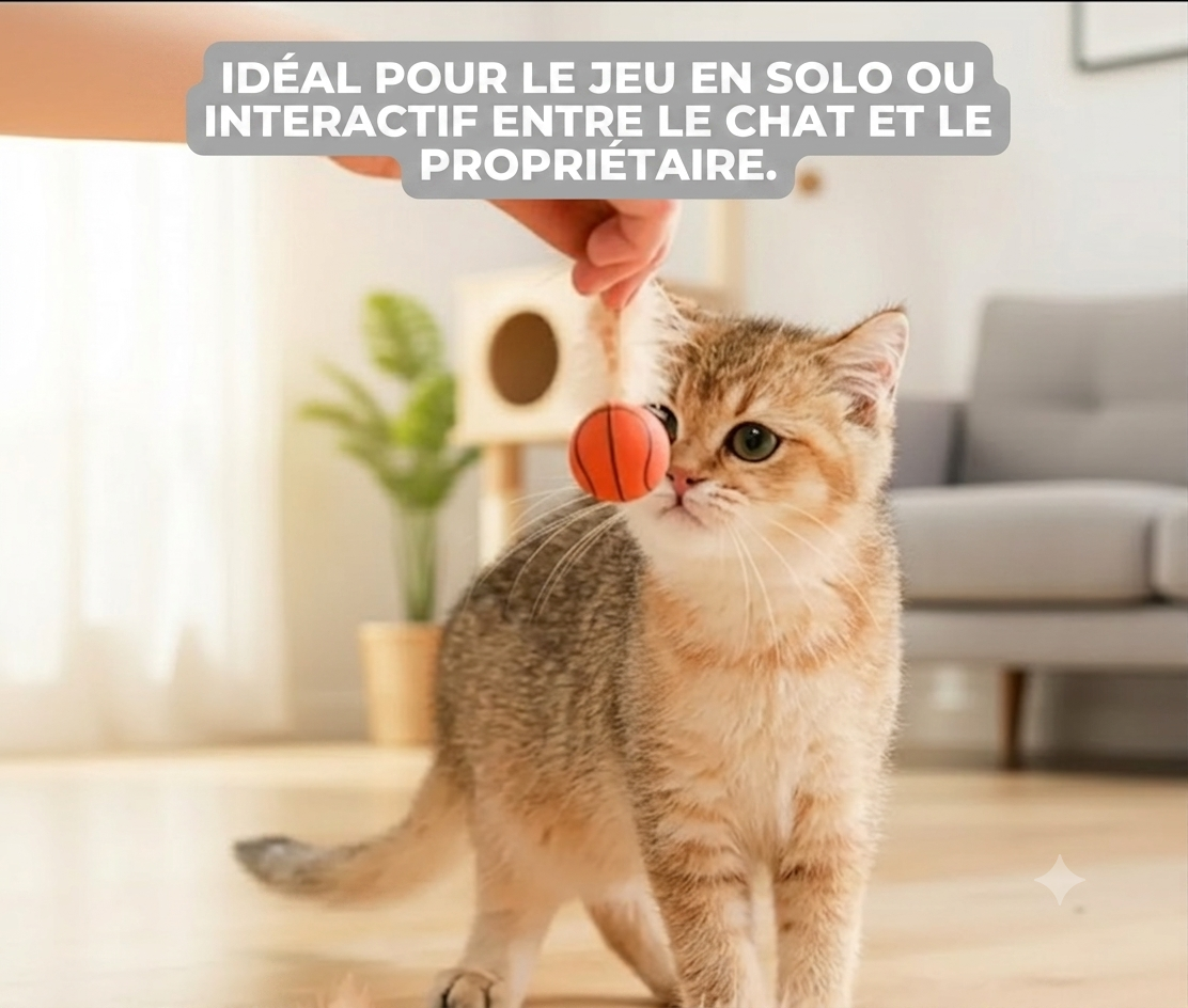 PlumeBond – Balle interactive à plumes pour chats | Sans piles | Silicone sûr