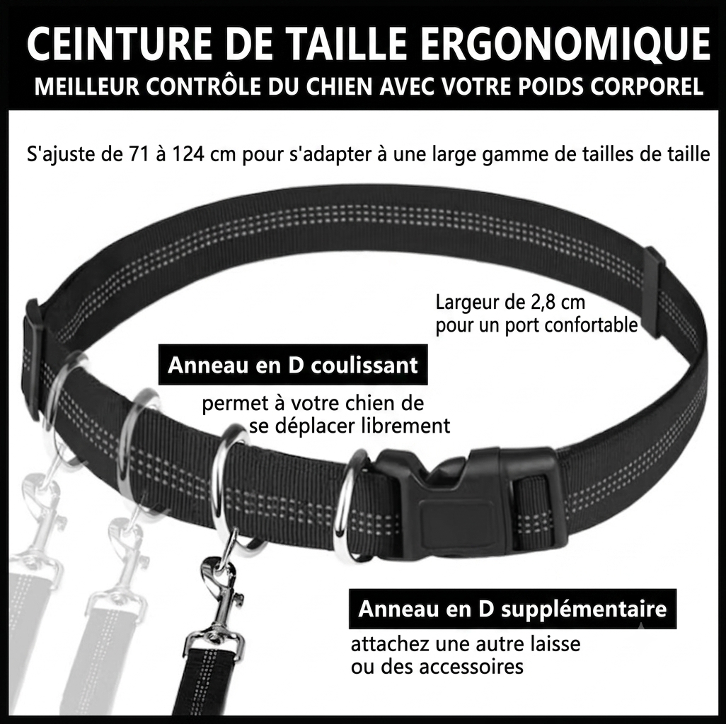 LibreTrail – Laisse mains libres pour chien | Ceinture réglable & amortisseur bungee