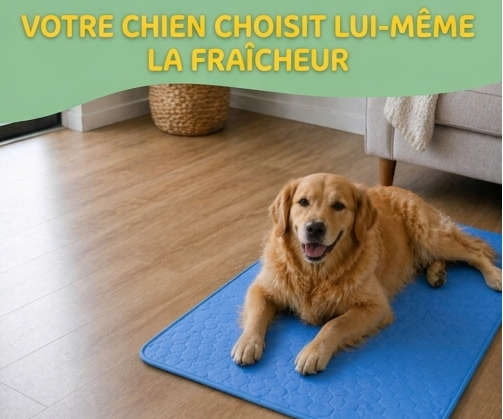 FraîchePatte — Le Tapis Rafraîchissant pour Chiens