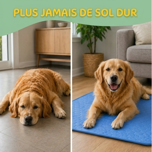 FraîchePatte — Le Tapis Rafraîchissant pour Chiens