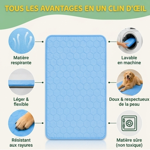 FraîchePatte — Le Tapis Rafraîchissant pour Chiens