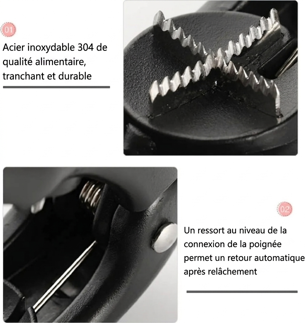 CastagNut – Éplucheur ergonomique de marrons et noix | Sûr & sans effort
