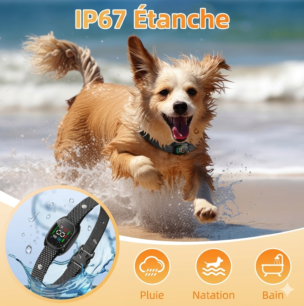 BelloSilent – Collier anti-aboiement pour petits chiens | Vibration & Son | Étanche IP67