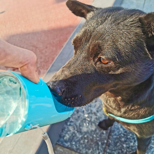 L'Ami Soif — Gourde 3-en-1 pour Chiens & Chats