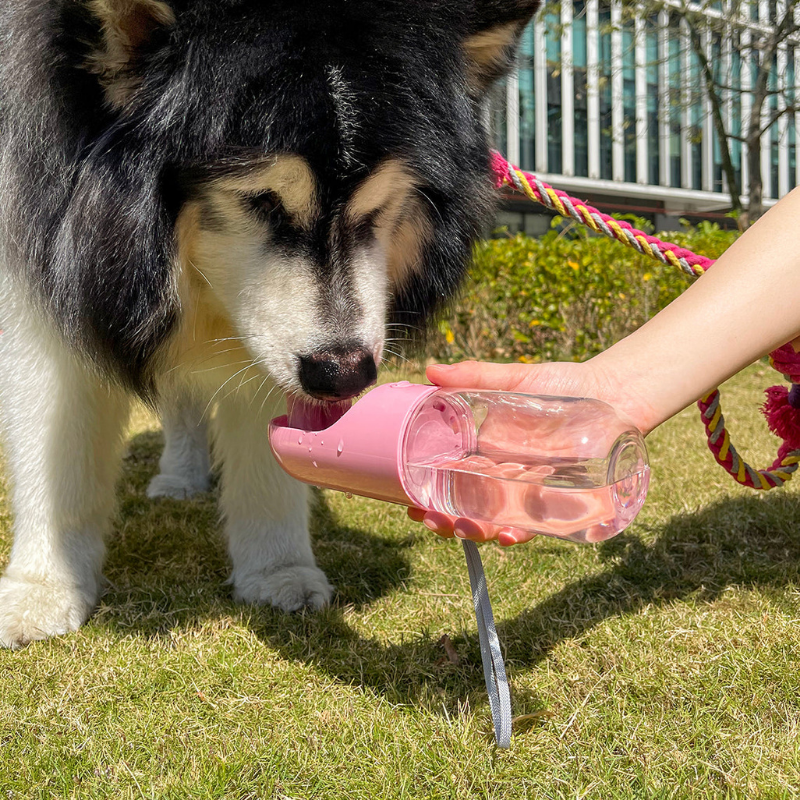 L'Ami Soif — Gourde 3-en-1 pour Chiens & Chats