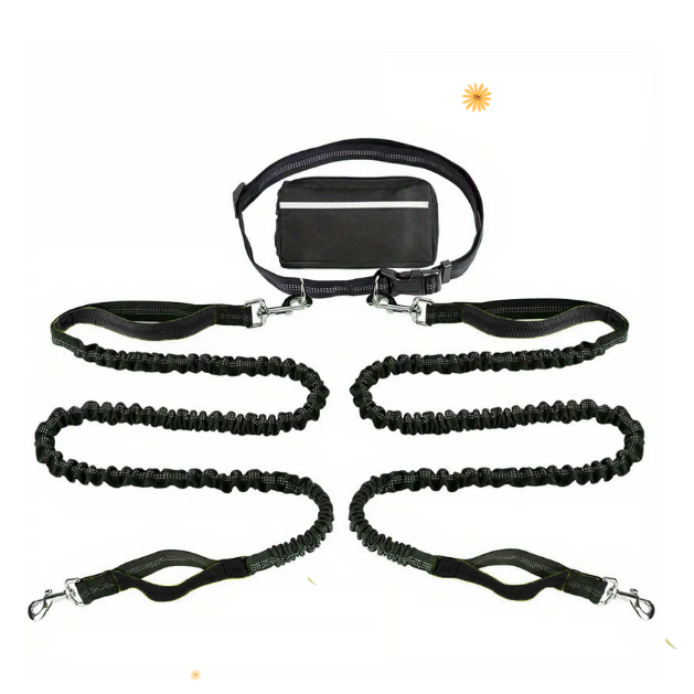 LibreTrail – Laisse mains libres pour chien | Ceinture réglable & amortisseur bungee